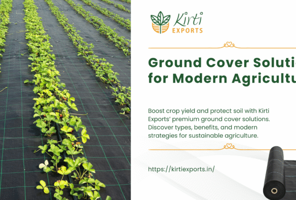 kirti exports blog banner ground cover