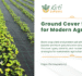 Ground Cover Solutions for Modern Agriculture | Kirti Exports