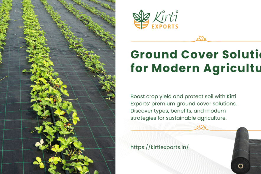 ground cover
