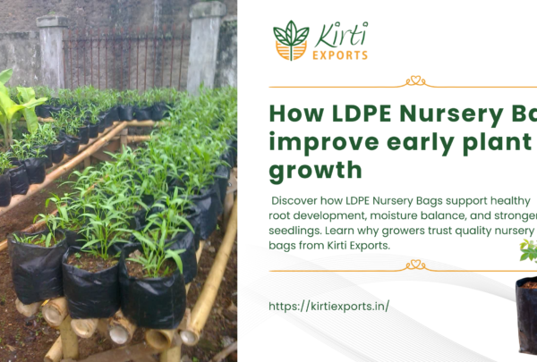 LDPE Nursery Bags LDPE Nursery Bags