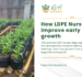 How LDPE Nursery Bags improve early plant growth