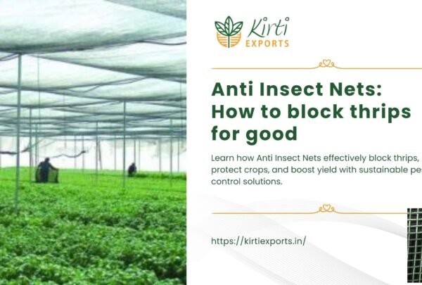 Anti Insect Nets