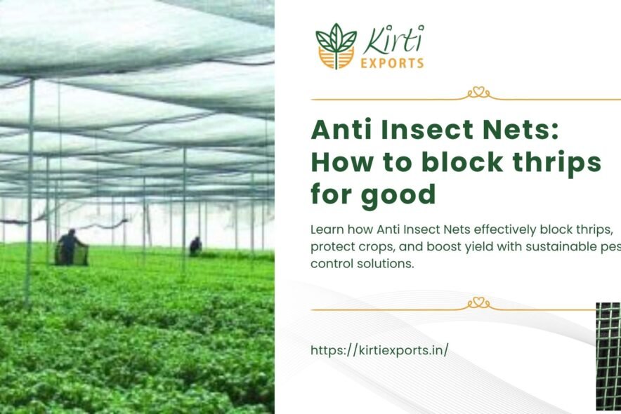 Anti Insect Nets